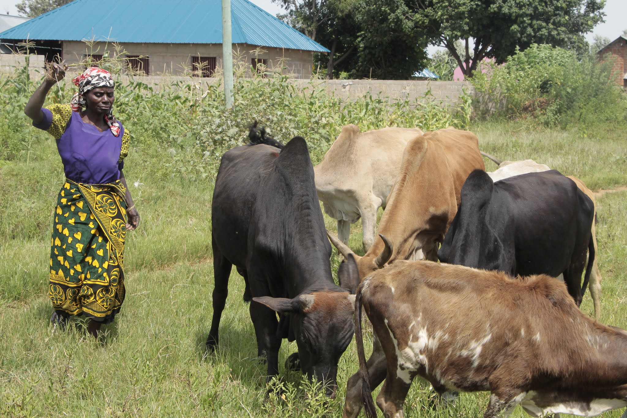 WANUFAIKA WA TASAF IRAMBA MKOANI SINGIDA WAOMBA WATAALAMU WA KILIMO NA ...