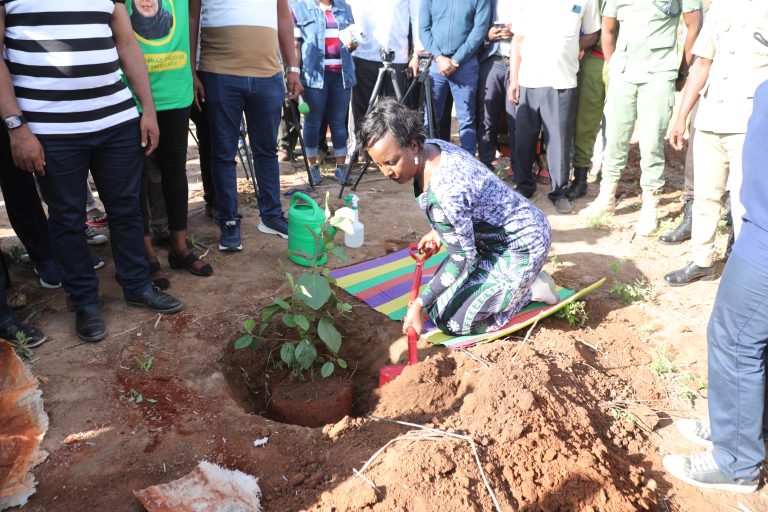 TUANZE KUTUMIA NISHATI MBADALA KUPUNGUZA UKATAJI MITI – MHE SENYAMULE