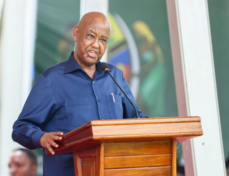 KINANA:JNHPP NI UTEKELEZAJI WA ILANI YA CCM
