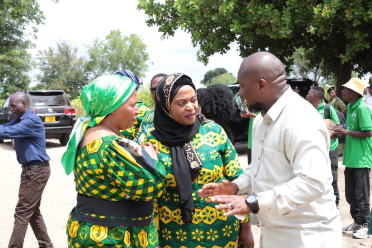 WATANZANIA TUMUENZI BIBI TITI KWA MCHANGO WA KULIKOMBOA TAIFA-CHATANDA