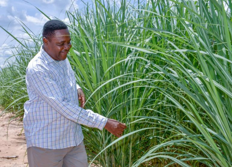 RC KUNENGE AKAGUA NA KUTEMBELEA UWEKEZAJI LAKE AGRO SUGAR ESTATES,RUFIJI
