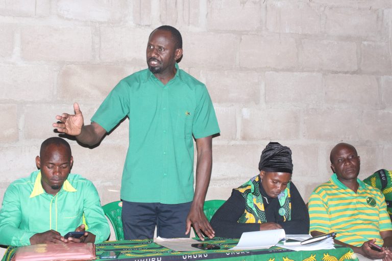 CCM ILEMELA YAMPONGEZA MNEC DKT ANGELINE MABULA 