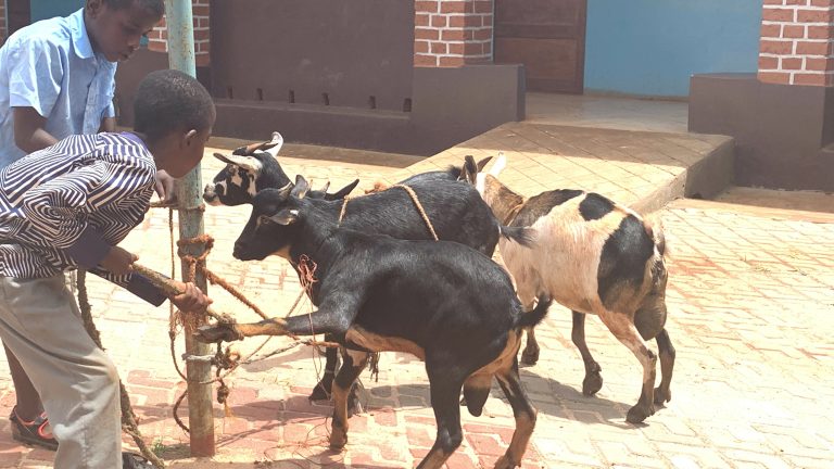 RAIS SAMIA ATOA ZAWADI YA XMASS KWA WATOTO YATIMA WA CHIPOLE SONGEA