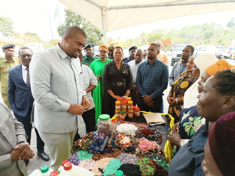 HALMASHAURI ZATAKIWA KUWAPATIA MIKOPO WALENGWA WA TASAF WALIO KWENYE VIKUNDI KUPITIA MIKOPO YA ASILIMIA KUMI INAYOTENGWA KUVIKOPESHA VIKUNDI VYA WANAWAKE, VIJANA NA WENYE ULEMAVU