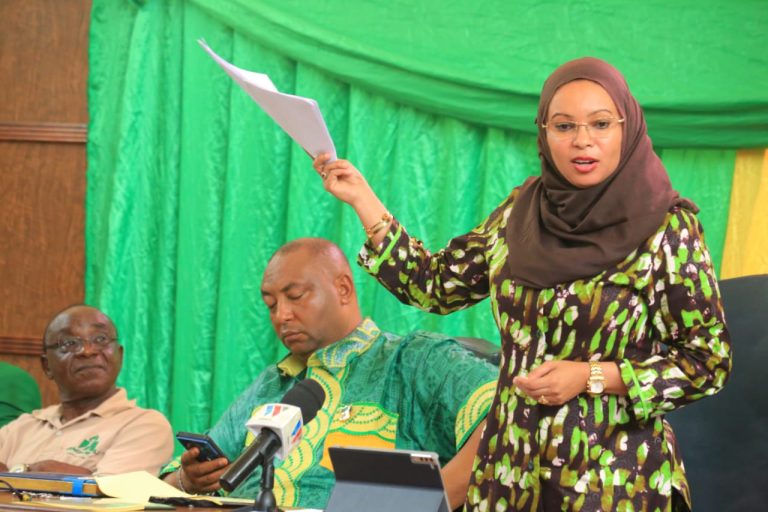 MWENYEKITI WA JUMUIYA YA WAZAZI CCM AONYA UCHAWA, ATAKA UONGOZI ULIOTHABITI