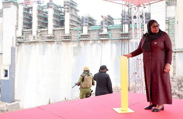 RAIS DKT. SAMIA SULUHU HASSAN ATOA MAAGIZO KWA WIZARA 5 UTUNZAJI WA MAZINGIRA