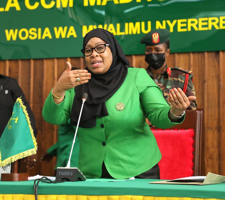 CCM, NGUZO YA WATANZANIA