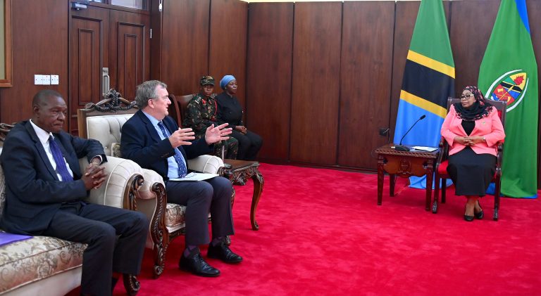 RAIS SAMIA AKUTANA NA KUZUNGUMZA NA MTENDAJI MKUU NA RAIS WA KAMPUNI YA BARRICK GOLD CORPORATION MARK BRISTON, IKULU CHAMWINO MKOANI DODOMA