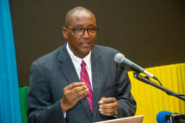DKT. KIRUSWA AZINDUA MFUMO WA USHIRIKISHWAJI WA WATANZANIA KATIKA SEKTA YA MADINI.