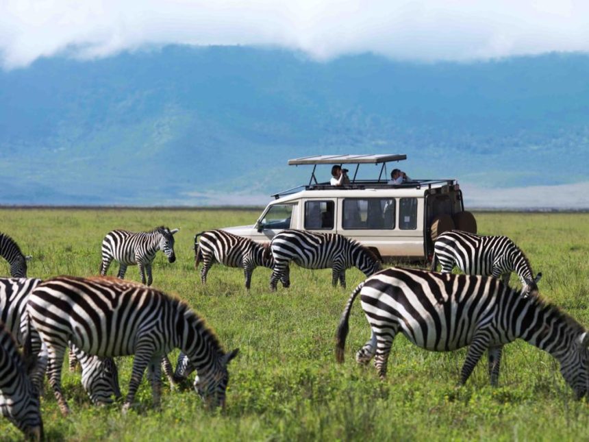WATALII WAFURAHISHWA NA AINA MBALIMBALI ZA UTALII TANZANIA. – Full ...
