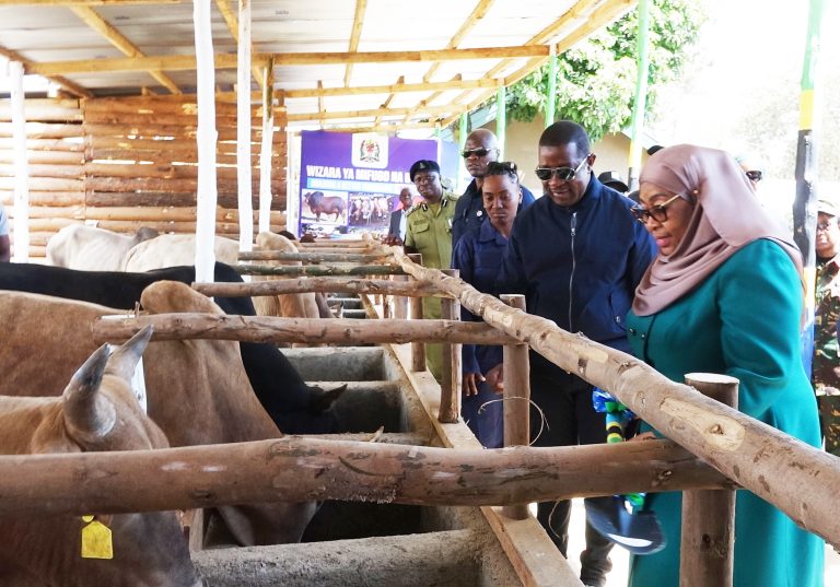 RAIS SAMIA AIPA KONGOLE WIZARA YA MIFUGO NA UVUVI KUPITIA BBT – LIFE