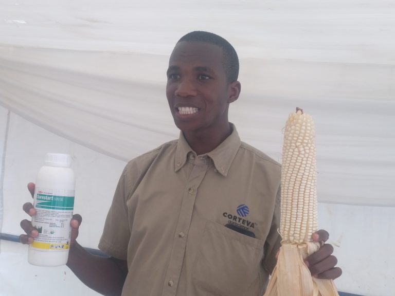 WAKULIMA WASHAURIWA KUTUMIA MBEGU MPYA ZA MAHINDI ILI KUONGEZA UZALISHAJI ZAIDI .
