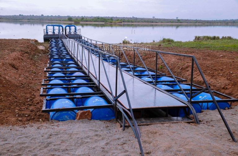 UWEKEZAJI WA RAIS SAMIA KATIKA UZALISHAJI WA MBEGU BORA SHAMBA LA KILIMI KUWAPA WAKULIMA UNAFUU.