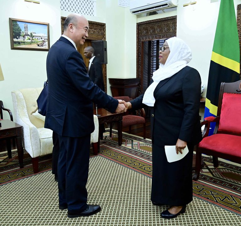RAIS DKT. SAMIA AZUNGUMZA NA NAIBU WAZIRI MKUU WA CHINA