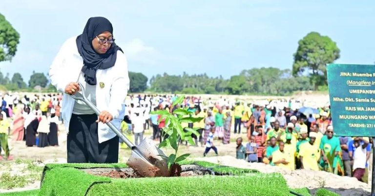 RAIS SAMIA AADHIMISHA SIKU YAKE YA KUZALIWA KWA KUPANDA MITI