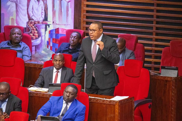 MBUNGE MTATURU:RAIS SAMIA APEWE MAUA YAKE,ANASIMAMIA VYEMA FALSAFA YA 4R.