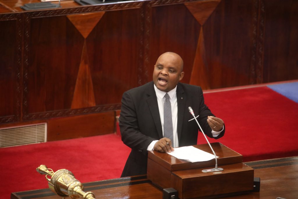 SERIKALI YASEMA UKUTA KUJENGWA NUNGWI KUKABILI MABADILIKO YA TABIANCHI