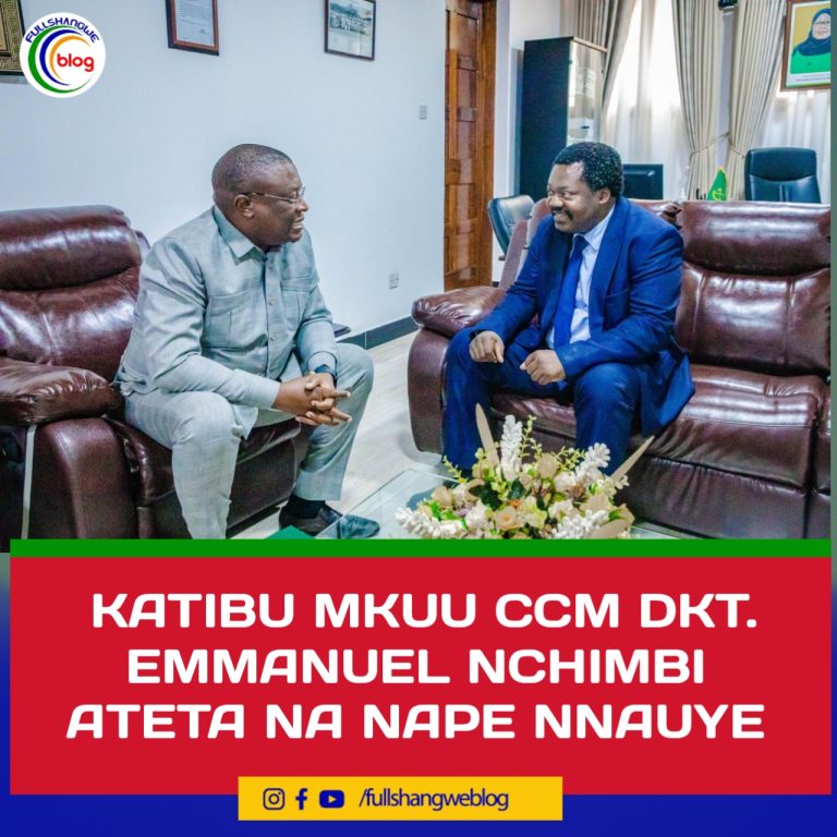 NCHIMBI NA NAPE ‘MAZUNGUMZO MAZITO’