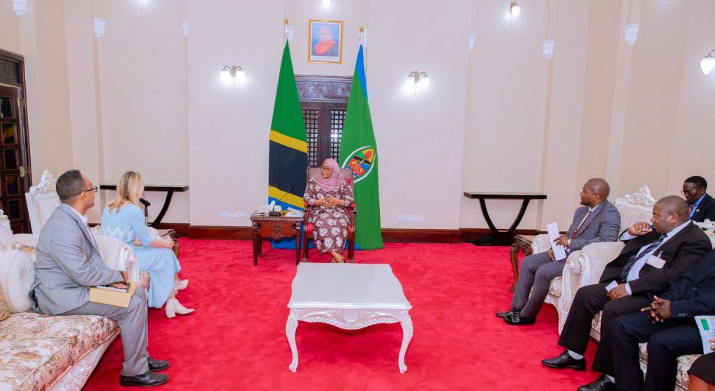 RAIS SAMIA AZUNGUMZA NA RAIS WA TAASISI YA BIG WIN PHILANTHROPY IKULU 