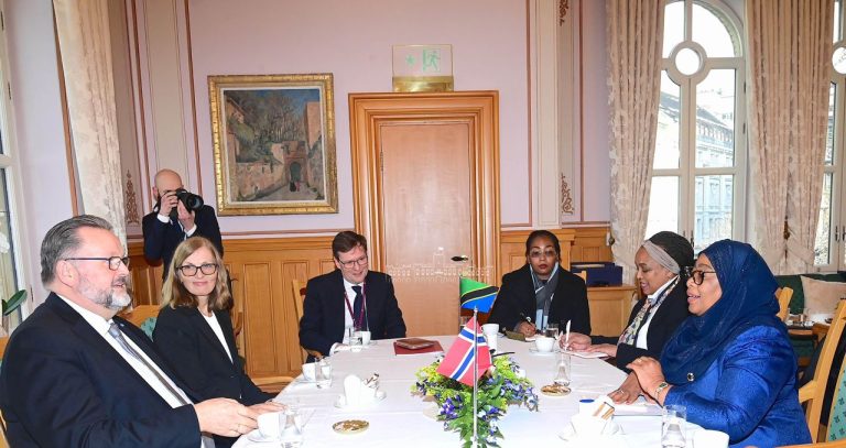 RAIS SAMIA AZINGUMZA NA MAKAMU WA KWANZA WA RAIS WA BUNGE LA NORWAY