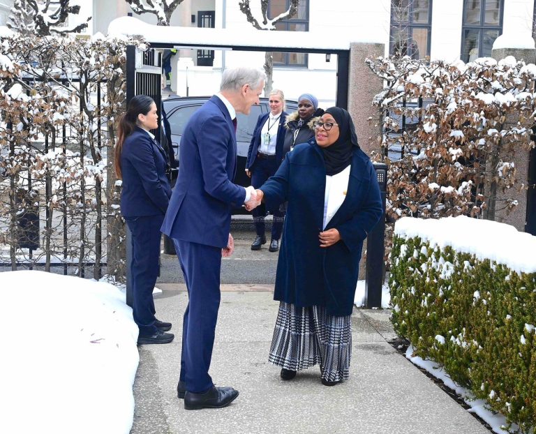 RAIS SAMIA ATETA NA WAZIRI MKUU WA NORWAY