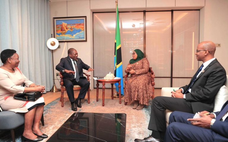 RAIS SAMIA AZUNGUMZA NA RAIS PHILIPE NYUSI WA MSUMBIJI ADDIS ABABA