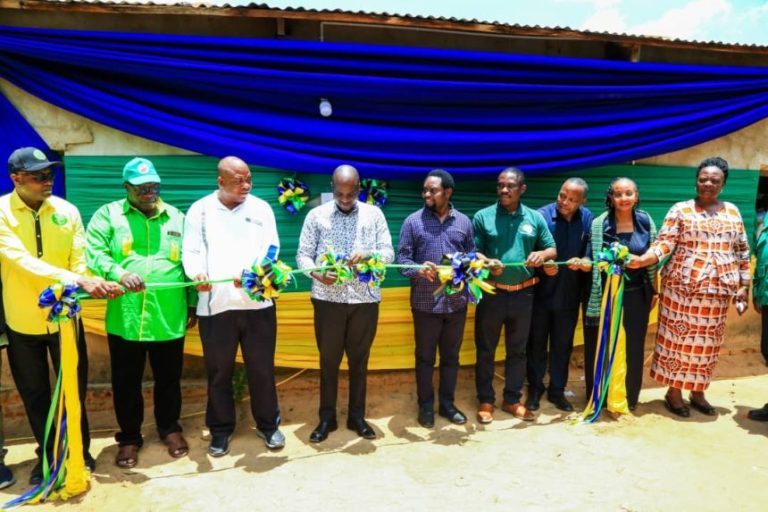 DKT.BITEKO:BILIONI 9 ZIMETUMIKA KUFIKISHA UMEME WA REA KATIKA VIJIJI VYOTE WANGING’OMBE