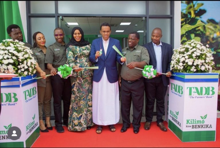BENKI YA MAENDELEO YA KILIMO YATAKIWA KUWEZESHA WAKULIMA –WAZIRI BASHE