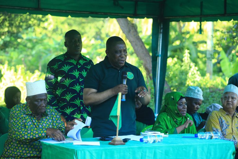 VIONGIZI WA CCM WATAKIWA KUYAEPUKA MAKUNDI YASIYOFAA