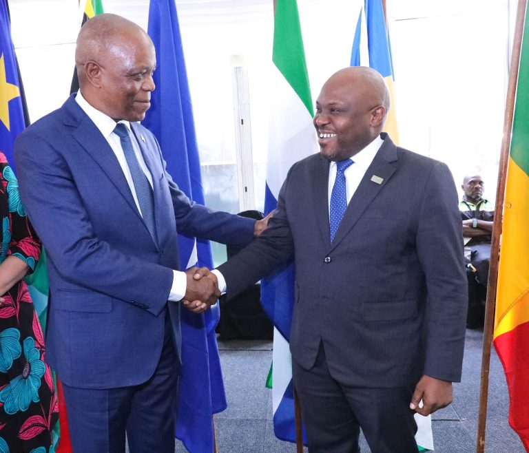 NCHI ZA AFRIKA ZAKUBALIANA KUTUMIA TEKNOLOJIA KUONGEZA MAPATO