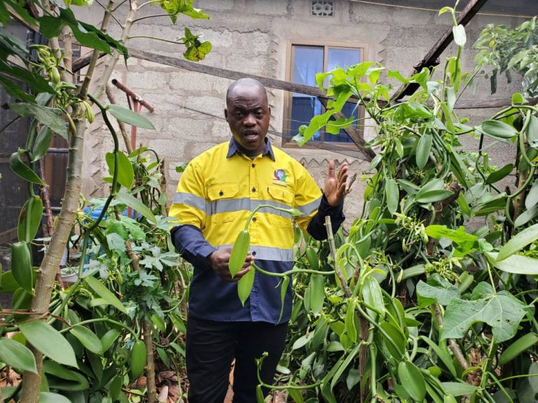 MTANZANIA SIMON MNKONDYA APELEKA KILIMO CHA VANILLA KENYA