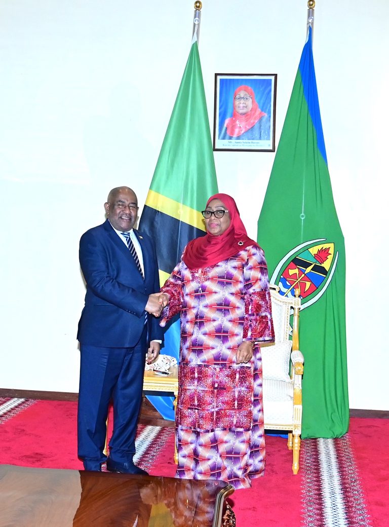 RAIS SAMIA AKUTANA NA BAADHI YA VIONGOZI WA NCHI JIRANI IKULU DAR ES SALAAM