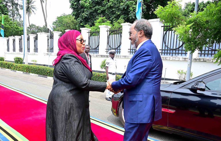 RAIS SAMIA AMPOKEA RAIS DKT. HASSAN MOHAMUD WA SOMALIA IKULU DAR ES SALAAM