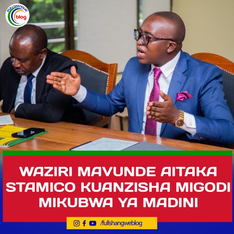 WAZIRI MAVUNDE AITAKA STAMICO KUANZISHA MIGODI MIKUBWA YA MADINI