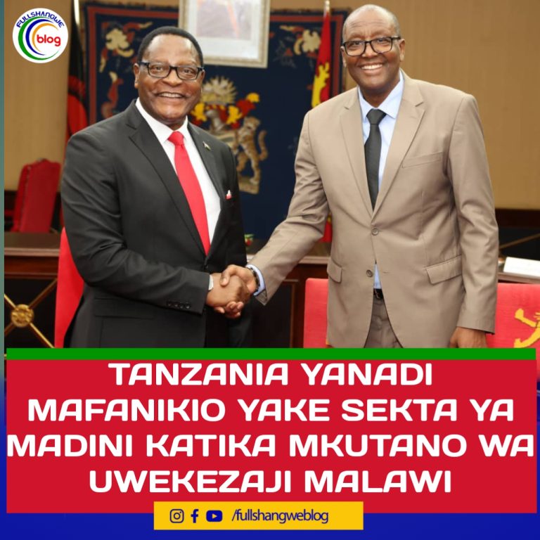 TANZANIA YANADI MAFANIKIO YAKE SEKTA YA MADINI KATIKA MKUTANO WA UWEKEZAJI MALAWI