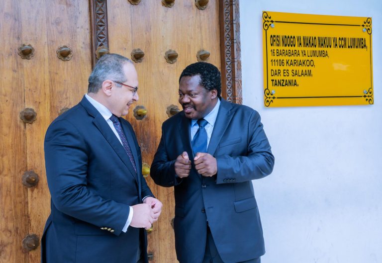 DK. NCHIMBI AWEKA MSIMAMO DIPLOMASIA YA UCHUMI NA SIASA KUNUFAISHA TANZANIA
