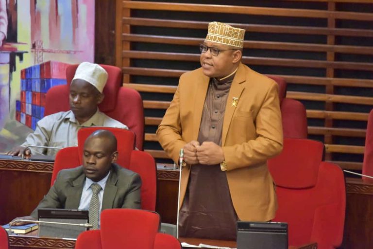 MTATURU ALIA NA UJENZI MADARAJA SINGIDA MASHARIKI