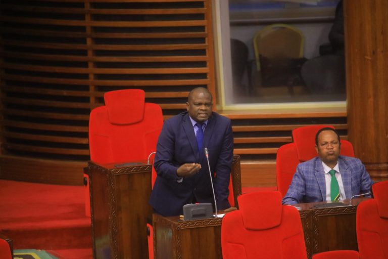 CHIKOTA AMSHUKURU RAIS SAMIA KWA KUANZISHA KONGANI YA KUBANGUA KOROSHO
