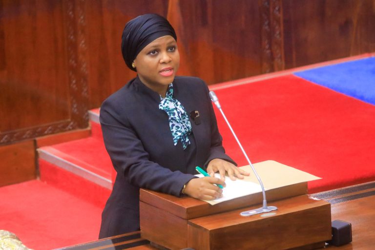 MHE.KATIMBA:BARABARA ZA LAMI KM 102 KUJENGWA MBOGWE