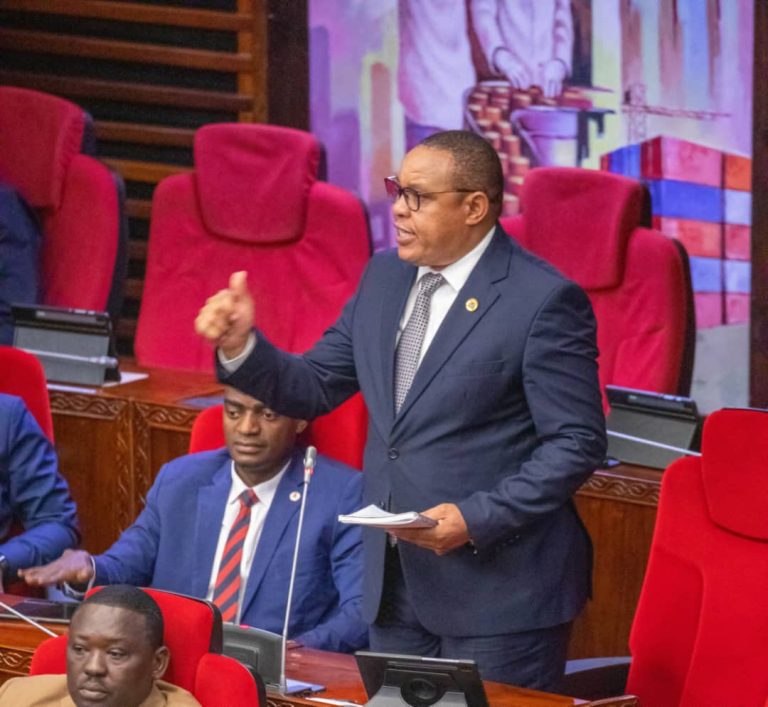SINGIDA MASHARIKI IMEVUNA NEEMA BILIONI 15_MBUNGE MTATURU.