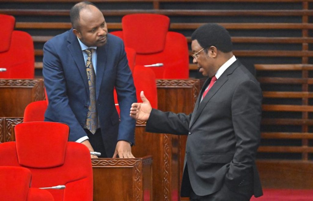 MWENYEKI KAMATI  BUNGE YA NISHATI NA MADINI DAVID MATHAYO AMEMPONGEZA RAIS SAMIA