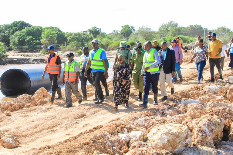 MAWASILIANO YA BARABARA DAR  – LINDI KUREJEA KESHO, SOMANGA PANAPITIKA: WAZIRI BASHUNGWA