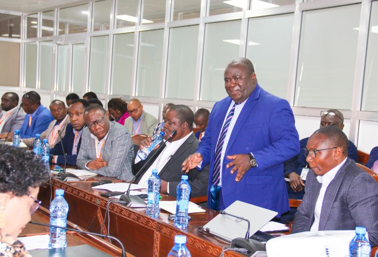 MKAKATI WA KUONGEZA USHIRIKI WA WAZAWA MIRADI YA UJENZI WAIVA
