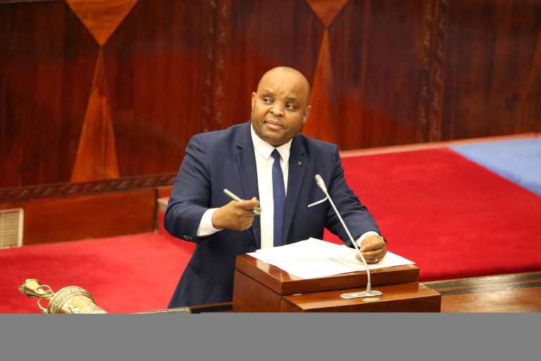 BUNGE-SERIKALI YAANGALIA KUPUNGUZA BEI YA NISHATI SAFI YA KUPIKIA