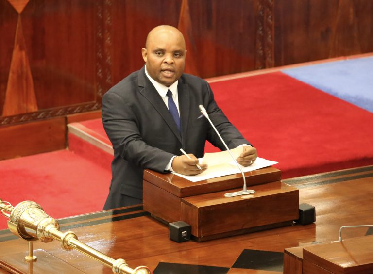 MKAKATI WA TAIFA WA MATUMIZI YA NISHATI SAFI YA KUPIKIA UTAPUNGUZA UKATAJI MITI