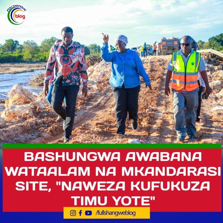 BASHUNGWA AWABANA WATAALAM NA MKANDARASI SITE, “NAWEZA KUFUKUZA TIMU YOTE”
