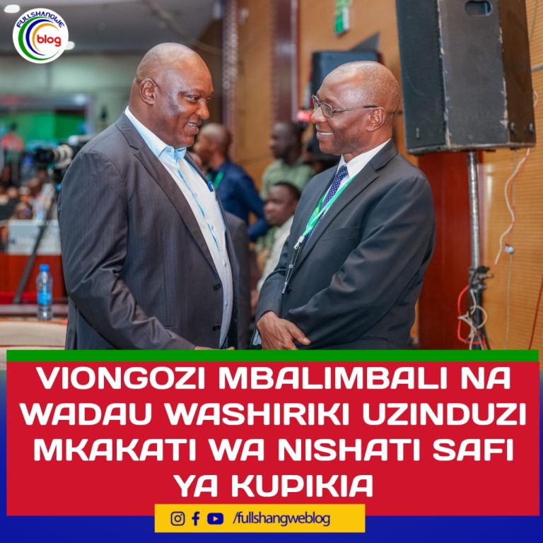 VIONGOZI MBALIMBALI NA WADAU WASHIRIKI UZINDUZI MKAKATI WA NISHATI SAFI YA KUPIKIA