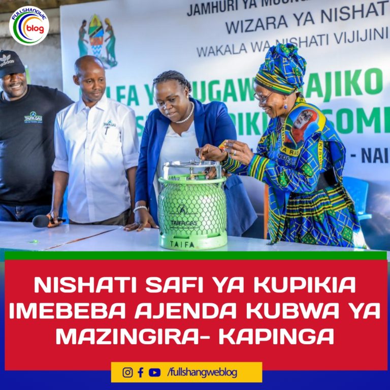 NISHATI SAFI YA KUPIKIA IMEBEBA AJENDA KUBWA YA MAZINGIRA- KAPINGA