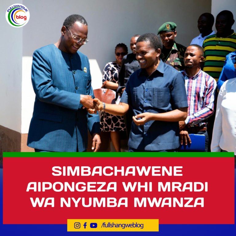 SIMBACHAWENE AIPONGEZA WHI/ MRADI WA NYUMBA MWANZA