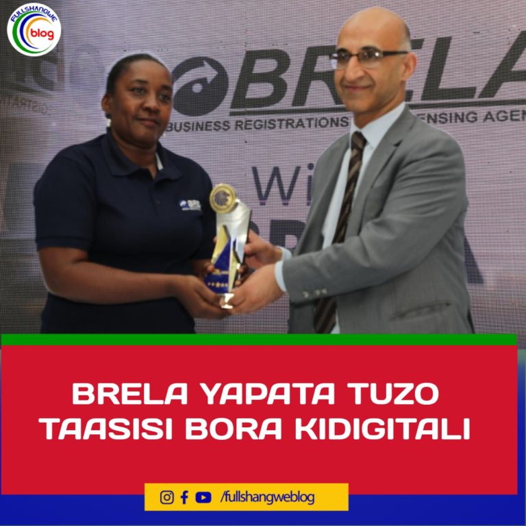 BRELA YAPATA TUZO TAASISI BORA KIDIGITALI
